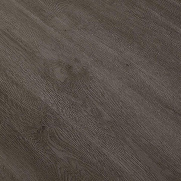 Welsh Oak