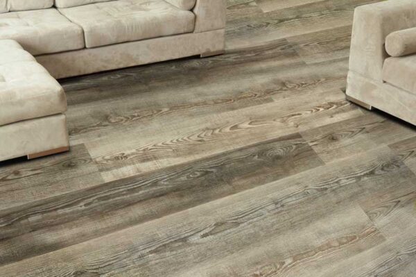 Irish Oak situ
