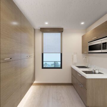 Silver Birch Decorceil