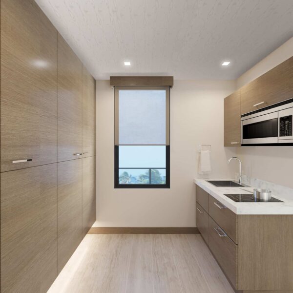 Silver Birch Decorceil